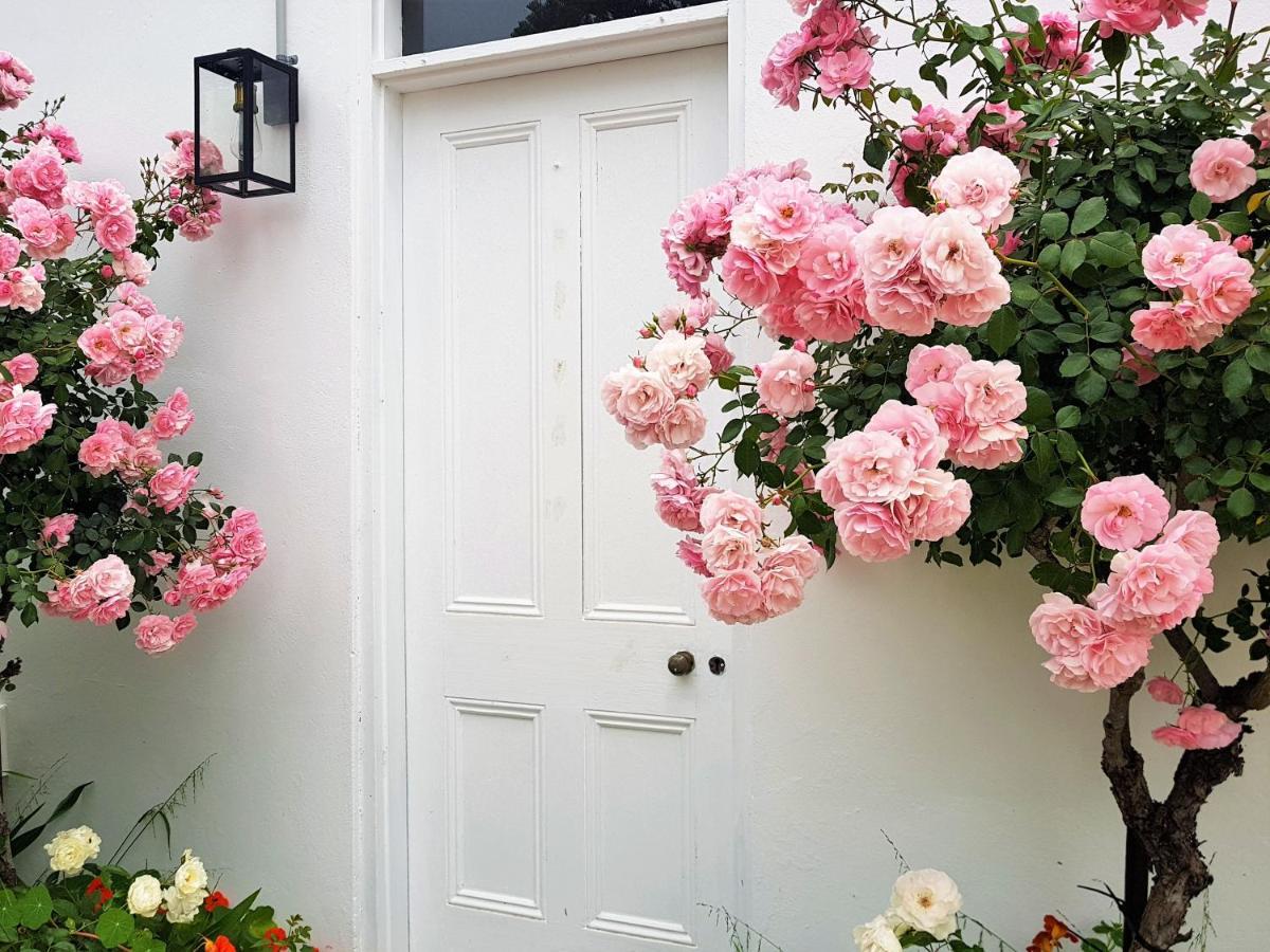 Clonmara Country House And Cottages Port Fairy Exterior foto