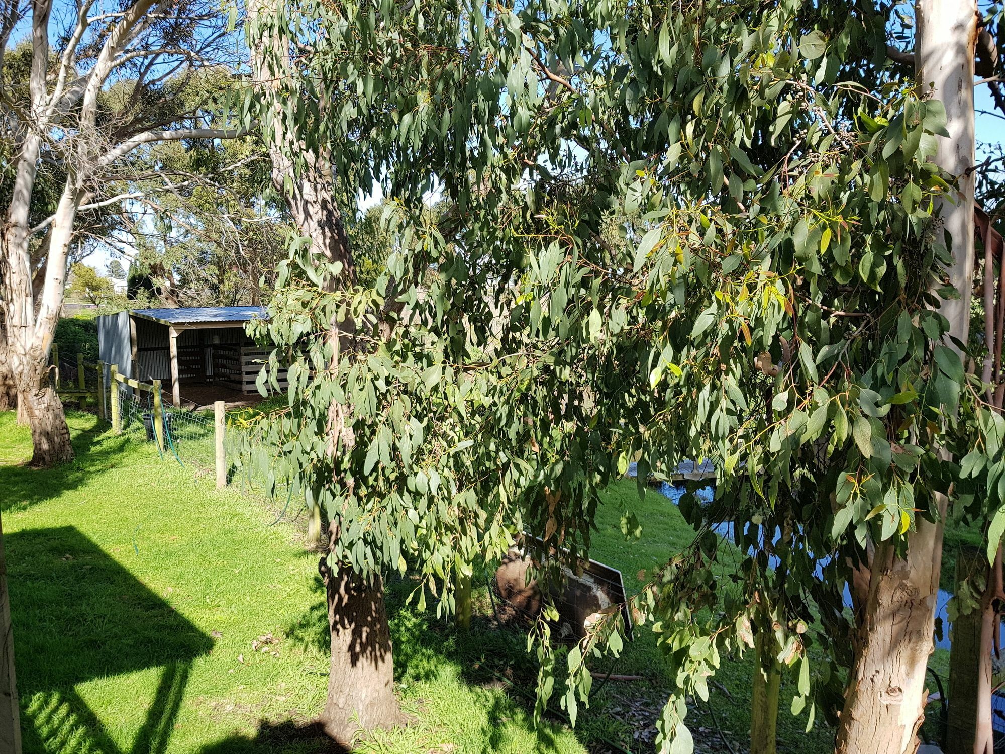 Clonmara Country House And Cottages Port Fairy Exterior foto